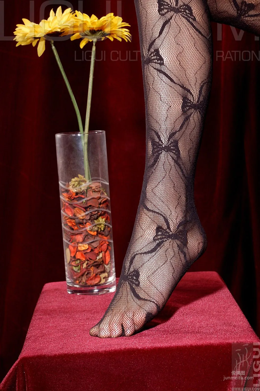 Cheng Hailun: Ligui Model photo 30