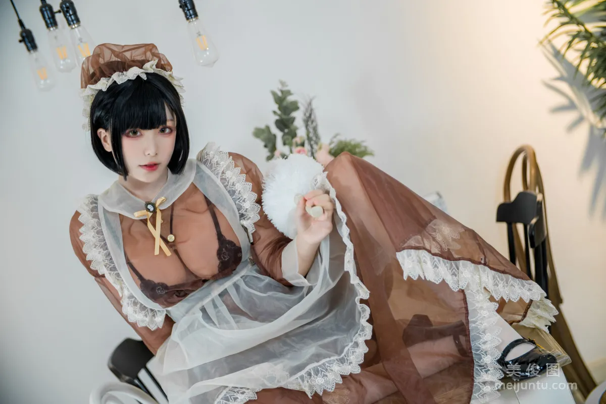 Coser Qisikuai wii Brown Transparent Dress Maid Photo Set photo 21