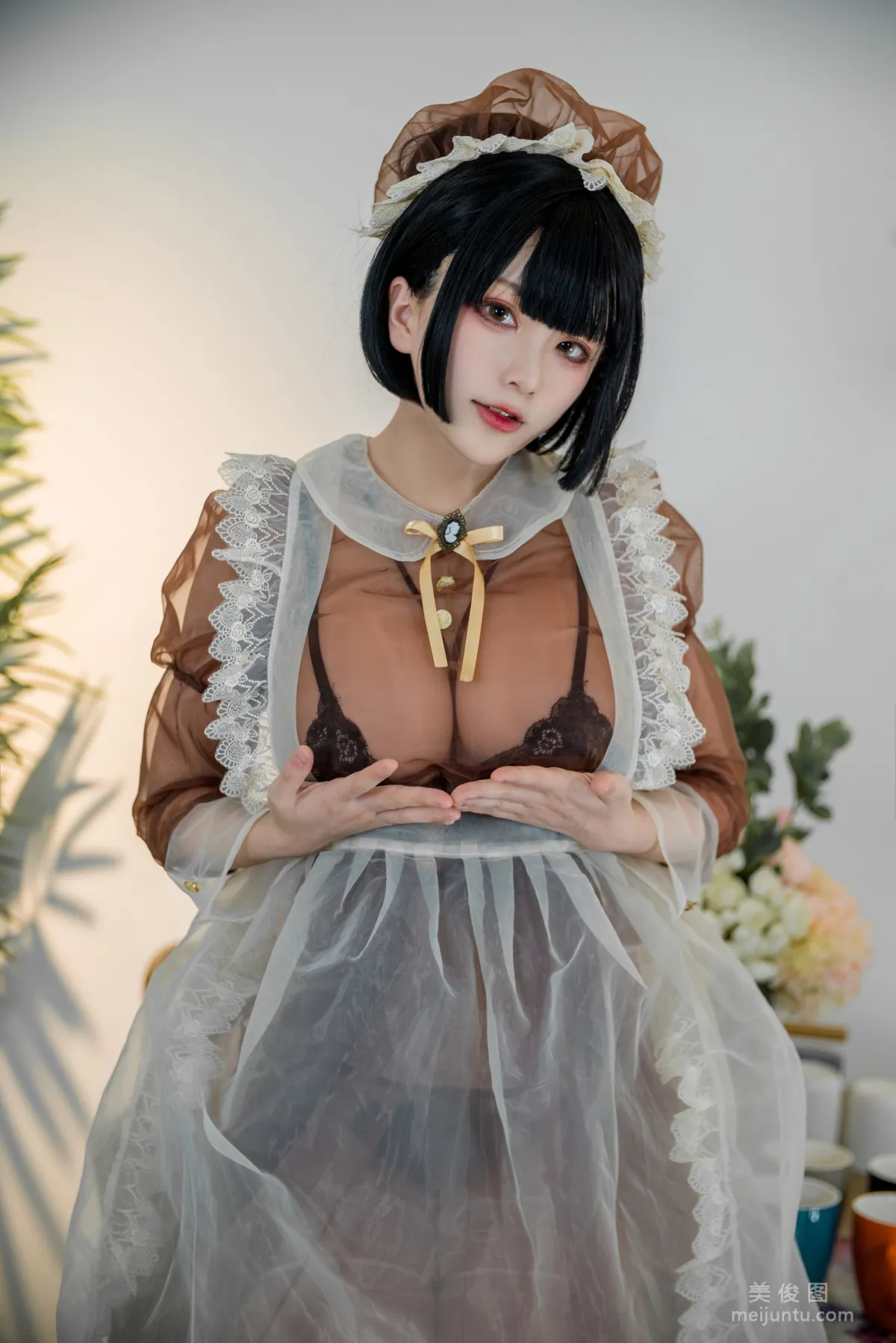 Coser Qisikuai wii Brown Transparent Dress Maid Photo Set photo 18