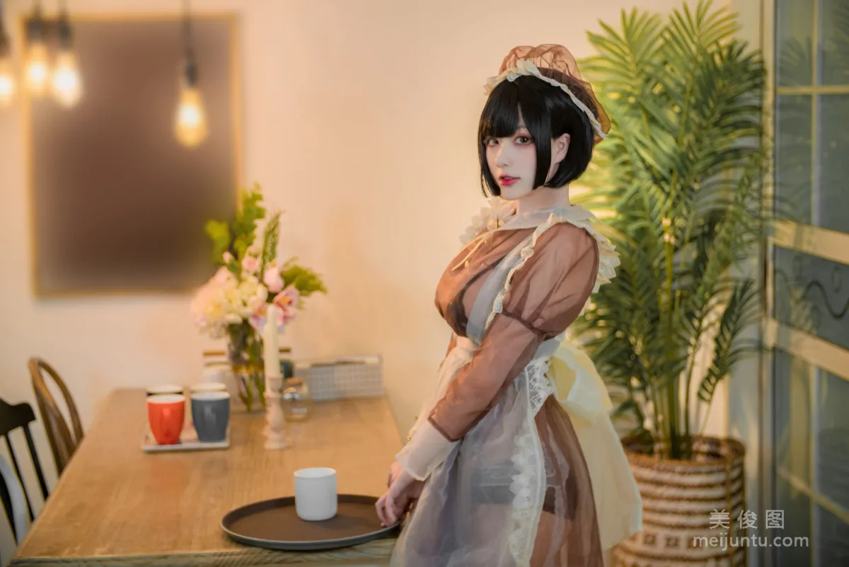 Coser Qisikuai wii Brown Transparent Dress Maid Photo Set photo 2