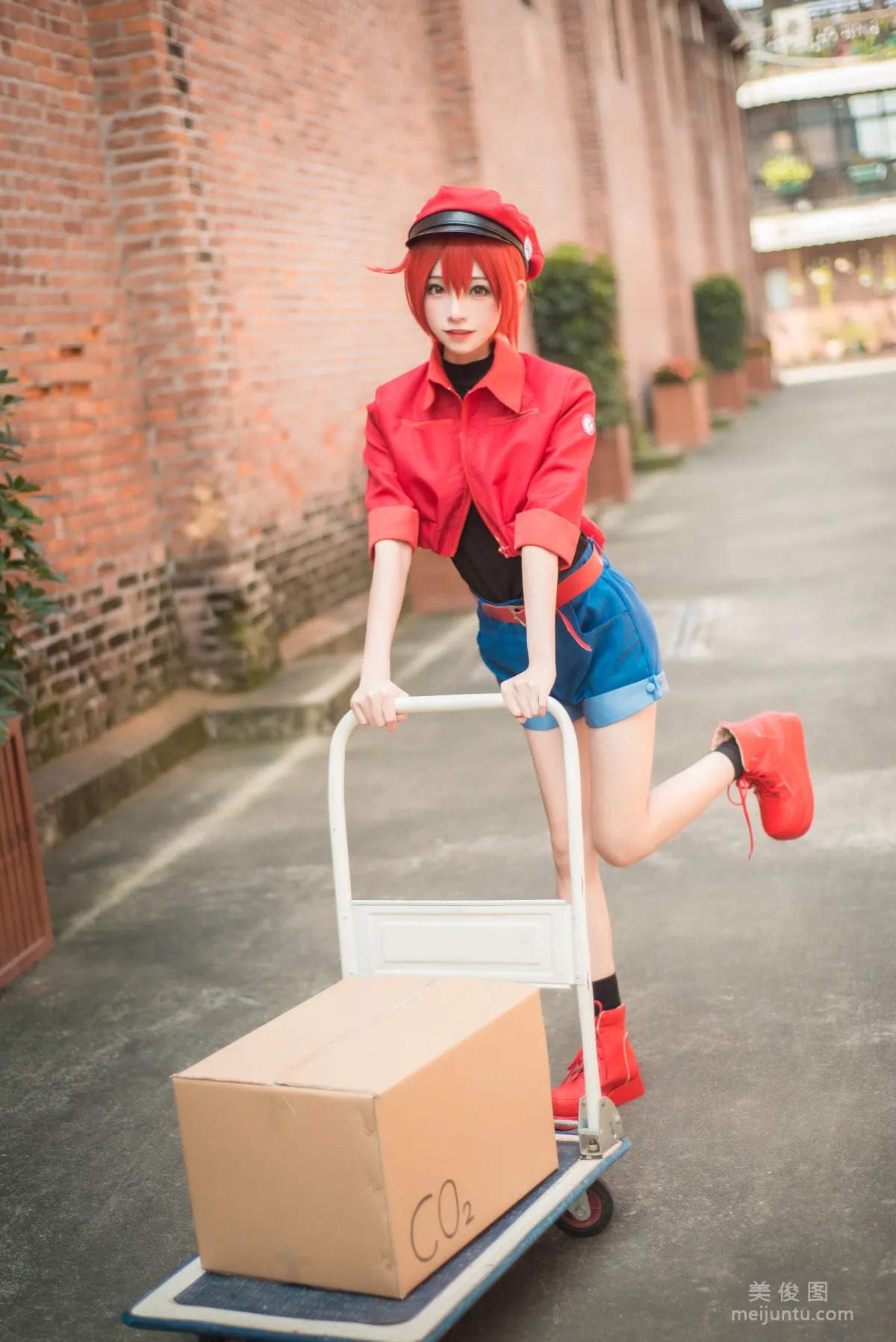 Qi Tailang: Web Idols photo 17