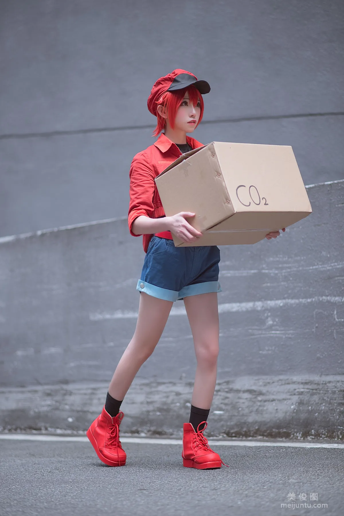 Qi Tailang: Web Idols photo 52