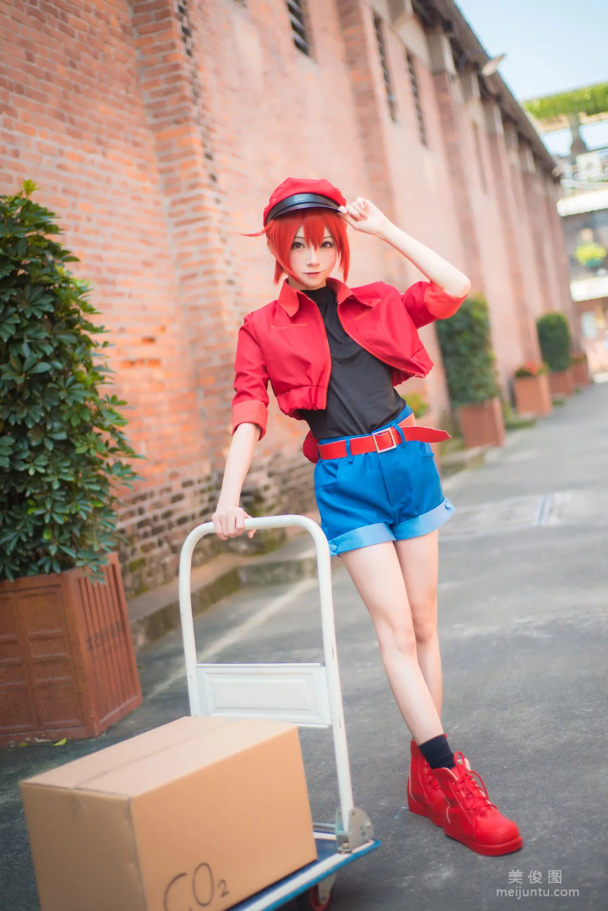 Qi Tailang: Web Idols photo 19