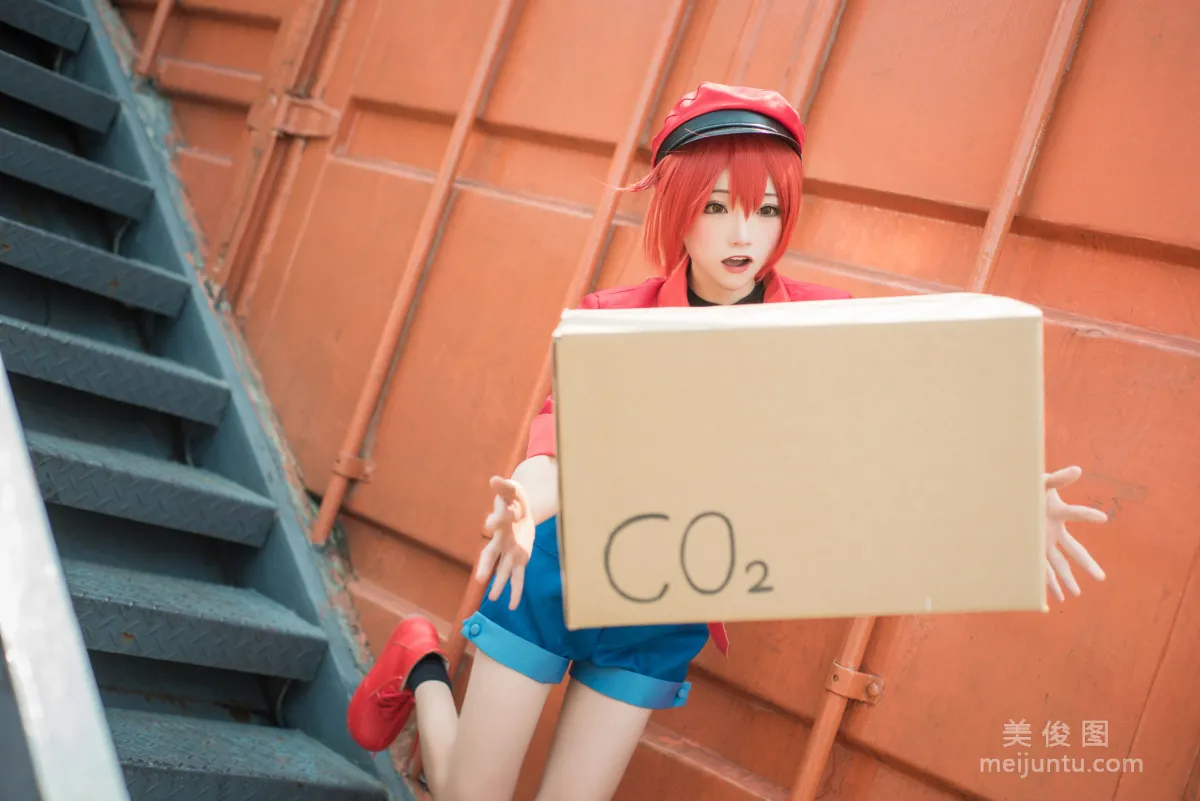 Qi Tailang: Web Idols photo 12