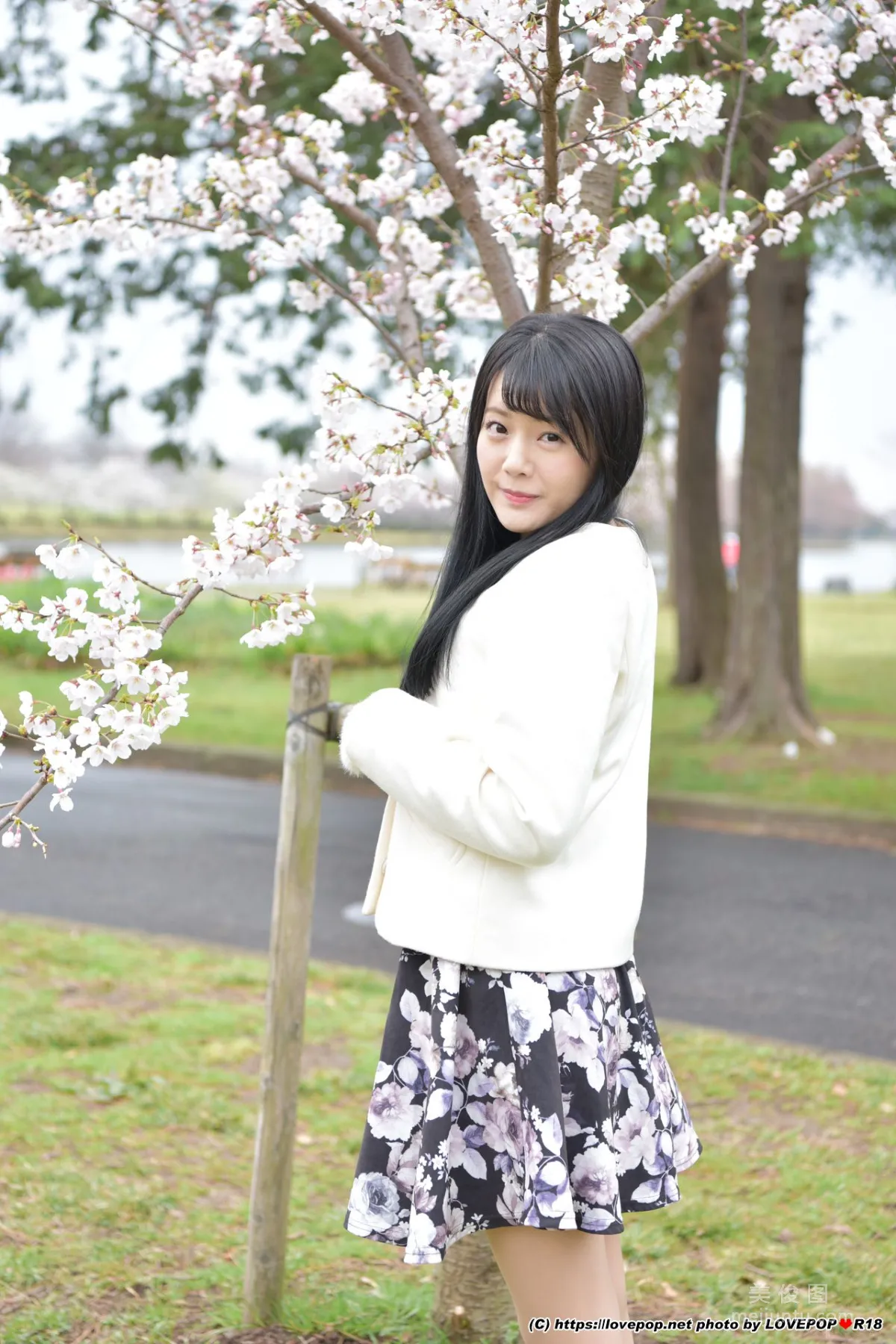[LOVEPOP] Meru Yanai 柳井める(柳井夢留) Photoset 06 寫真集 3
