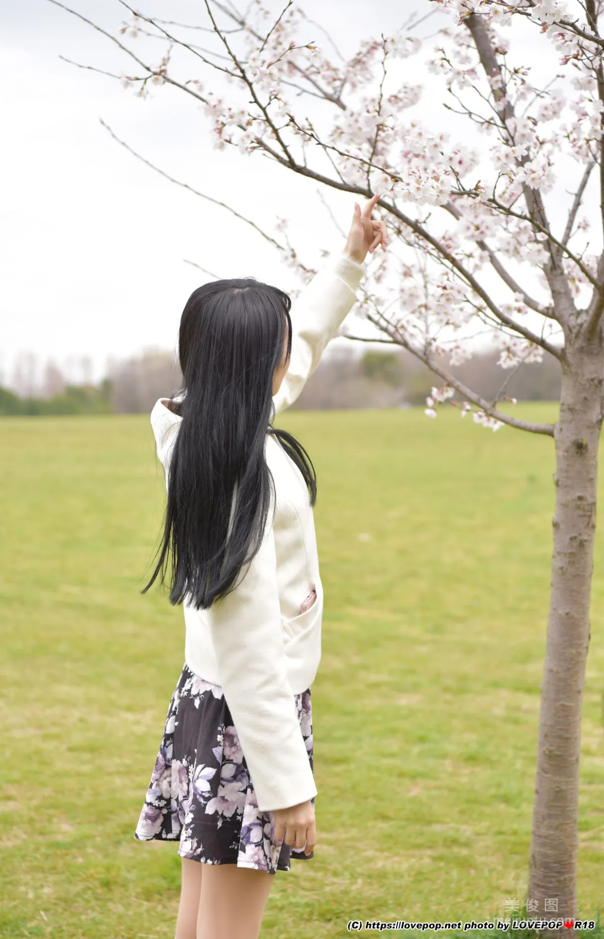 [LOVEPOP] Meru Yanai 柳井める(柳井夢留) Photoset 06 寫真集 28