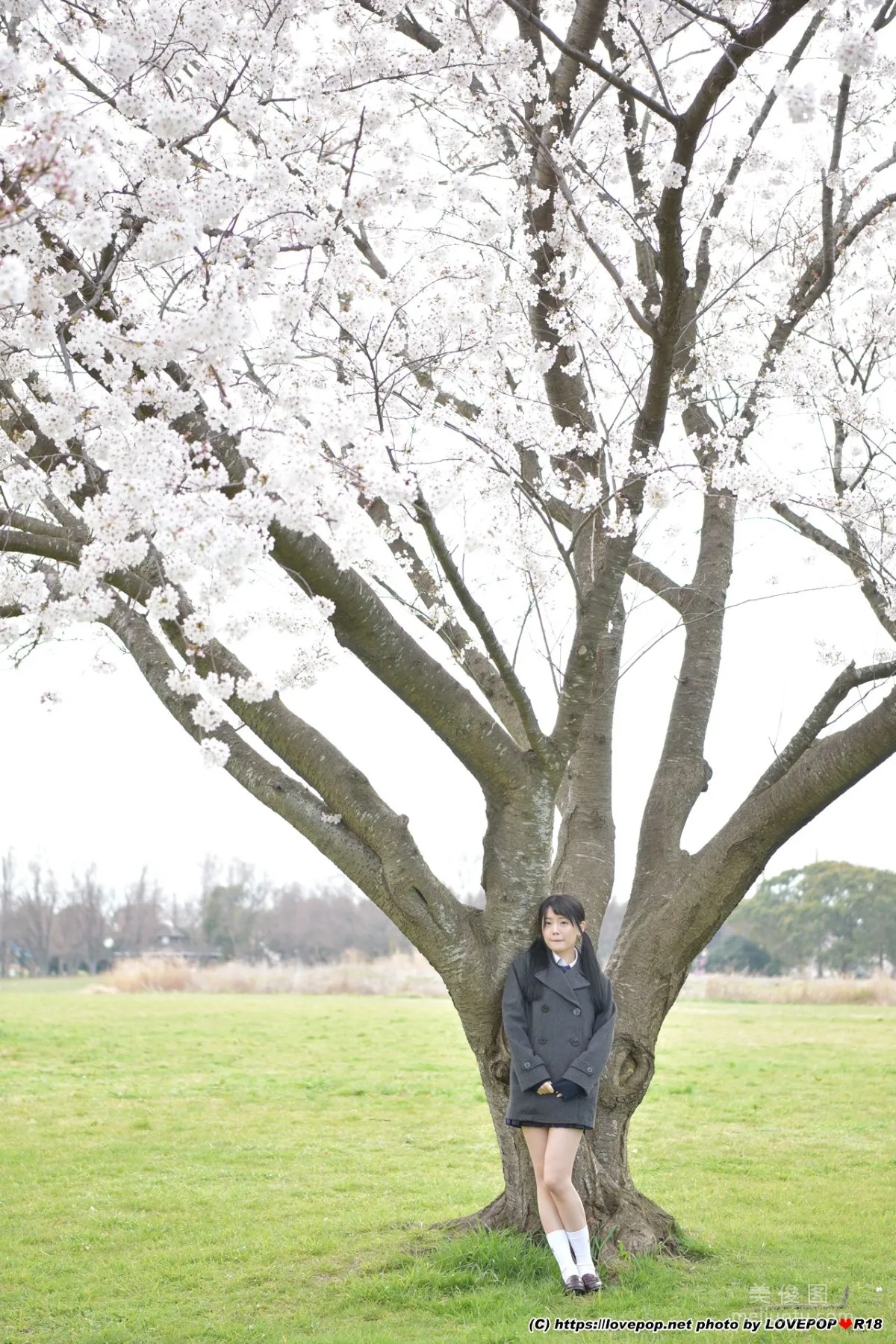[LOVEPOP] Meru Yanai 柳井める Photoset 08 寫真集 52
