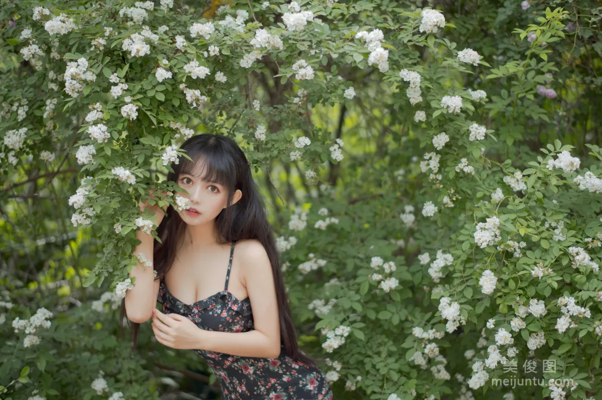 Big-Eyed Cute Girl Heimaomao OvO, Rose 1 Photo Set photo 5