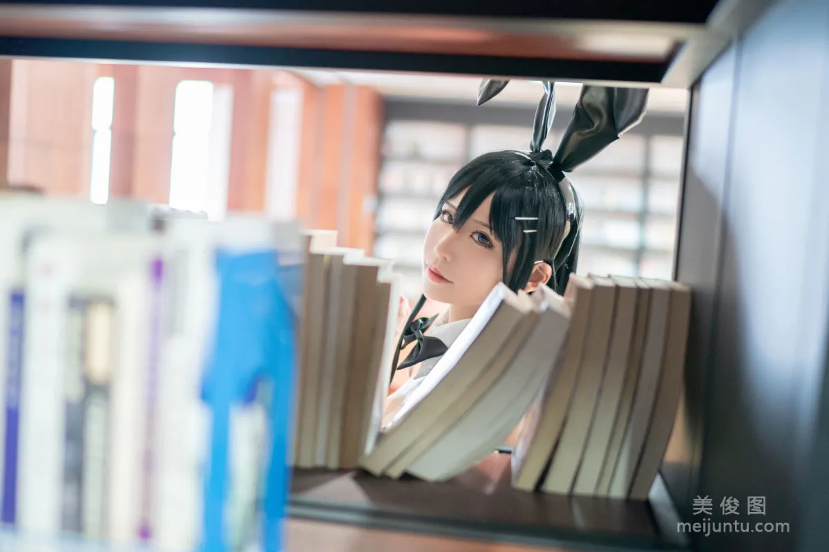 Ailaoshi PhD: Web Idols photo 4