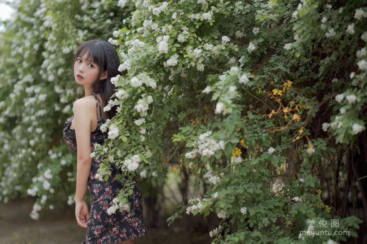 Big-Eyed Cute Girl Heimaomao OvO, Rose 1 Photo Set photo 19