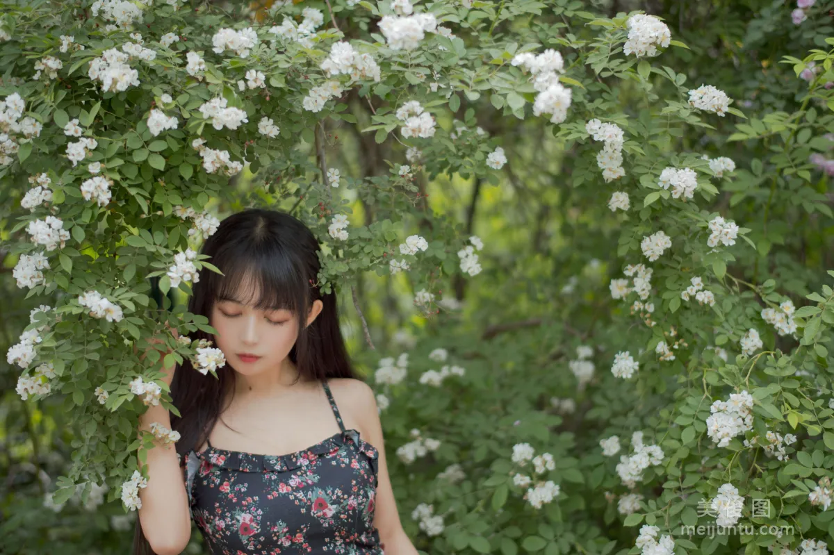 Big-Eyed Cute Girl Heimaomao OvO, Rose 1 Photo Set photo 4