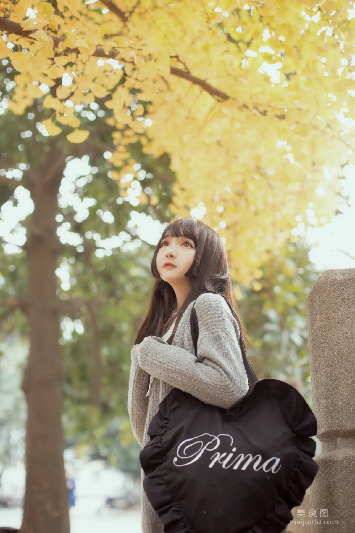 [Cosplay Photo] Guchuan kagura - Under the Ginkgo Tree photo 20