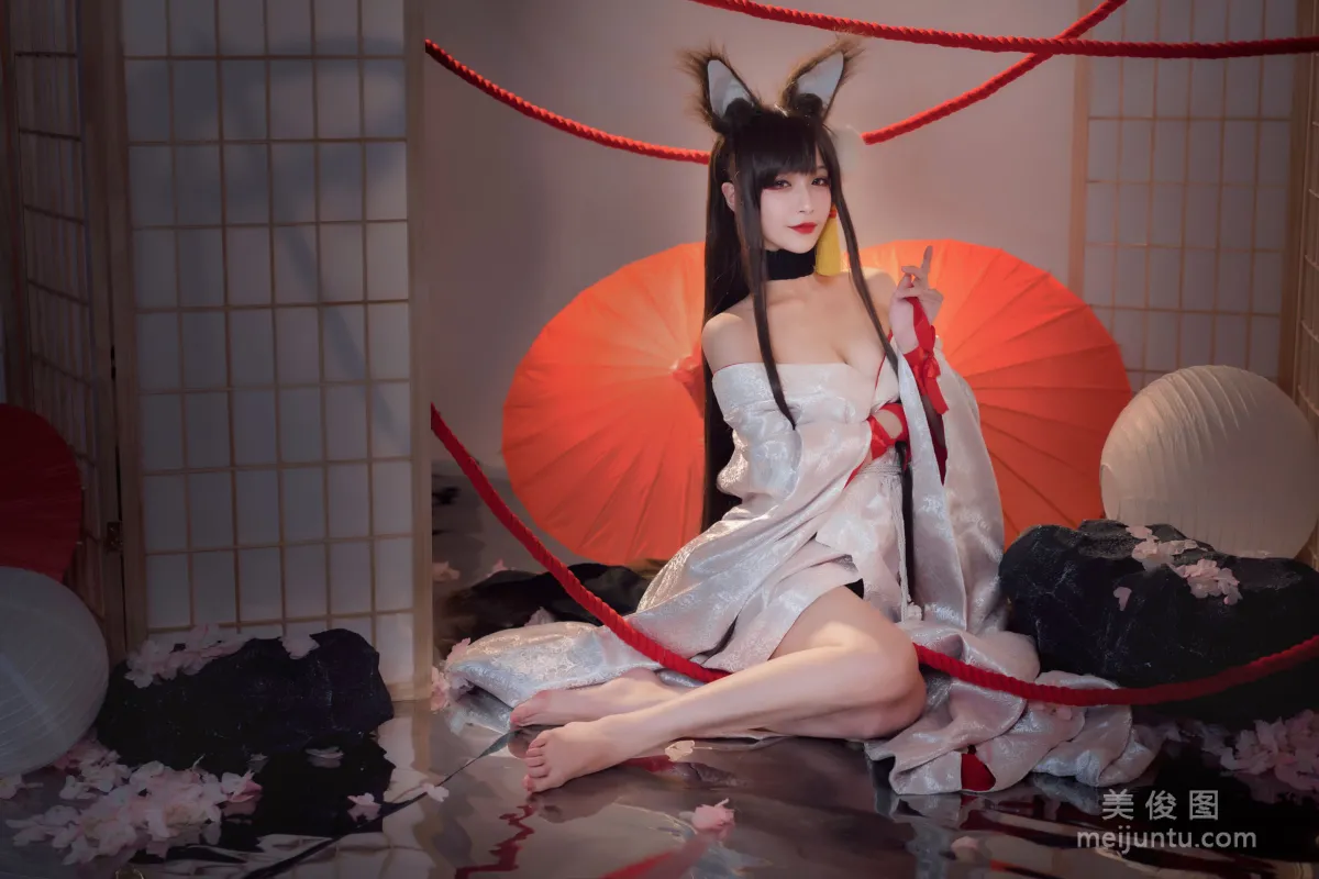 [Cosplay Photo] Tieban Shaogui Wu w - Akagi photo 9