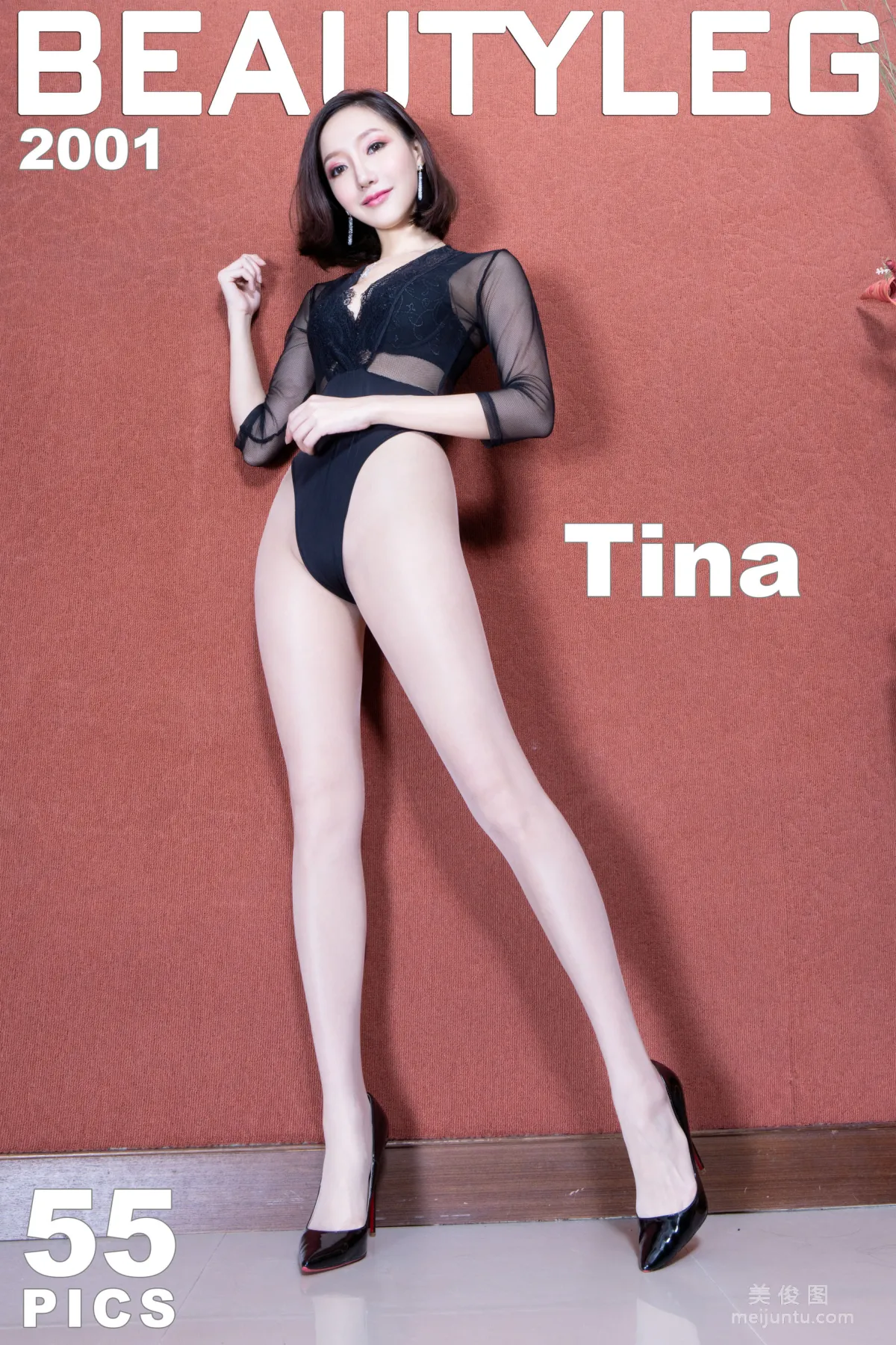 [Beautyleg] No.2001 Tina - Sheer Lingerie High-Cut Beautiful Legs Photo Set photo 1