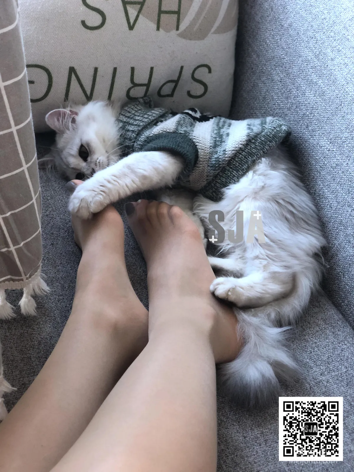 [SJA] Vol.013 Jia Ye, Bestie Perspective, Meow, Photo Set photo 36