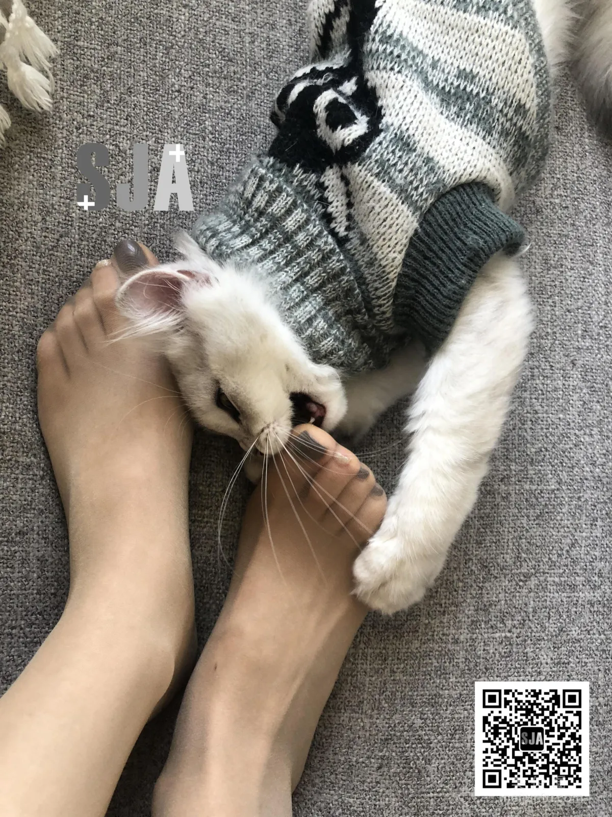 [SJA] Vol.013 Jia Ye, Bestie Perspective, Meow, Photo Set photo 24