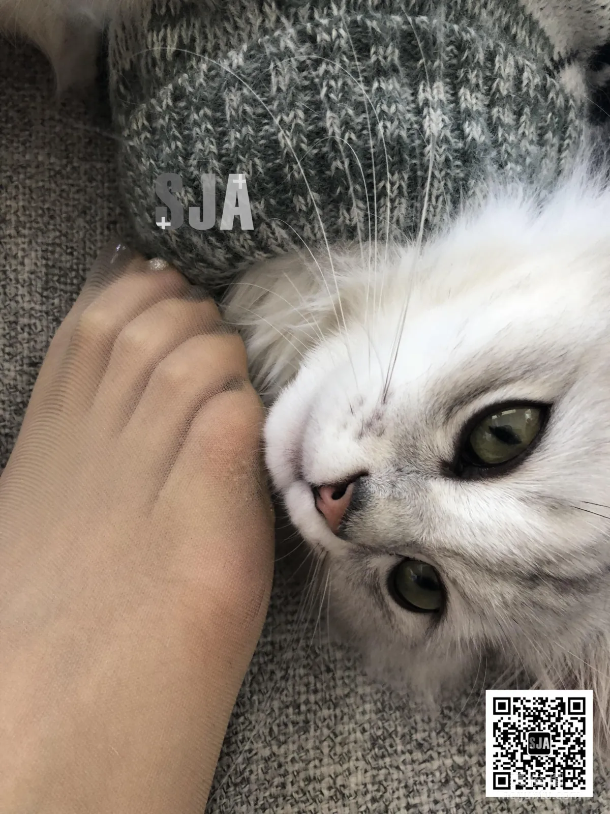 [SJA] Vol.013 Jia Ye, Bestie Perspective, Meow, Photo Set photo 8
