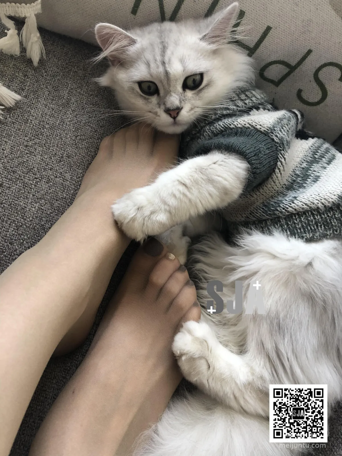 [SJA] Vol.013 Jia Ye, Bestie Perspective, Meow, Photo Set photo 33