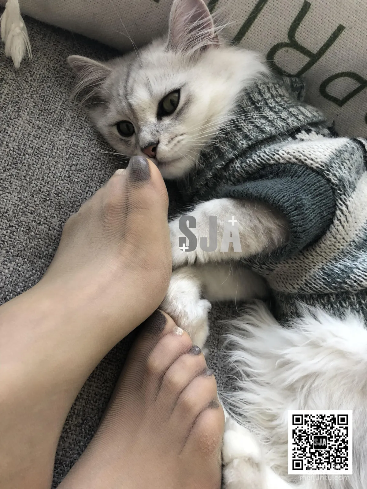 [SJA] Vol.013 Jia Ye, Bestie Perspective, Meow, Photo Set photo 41