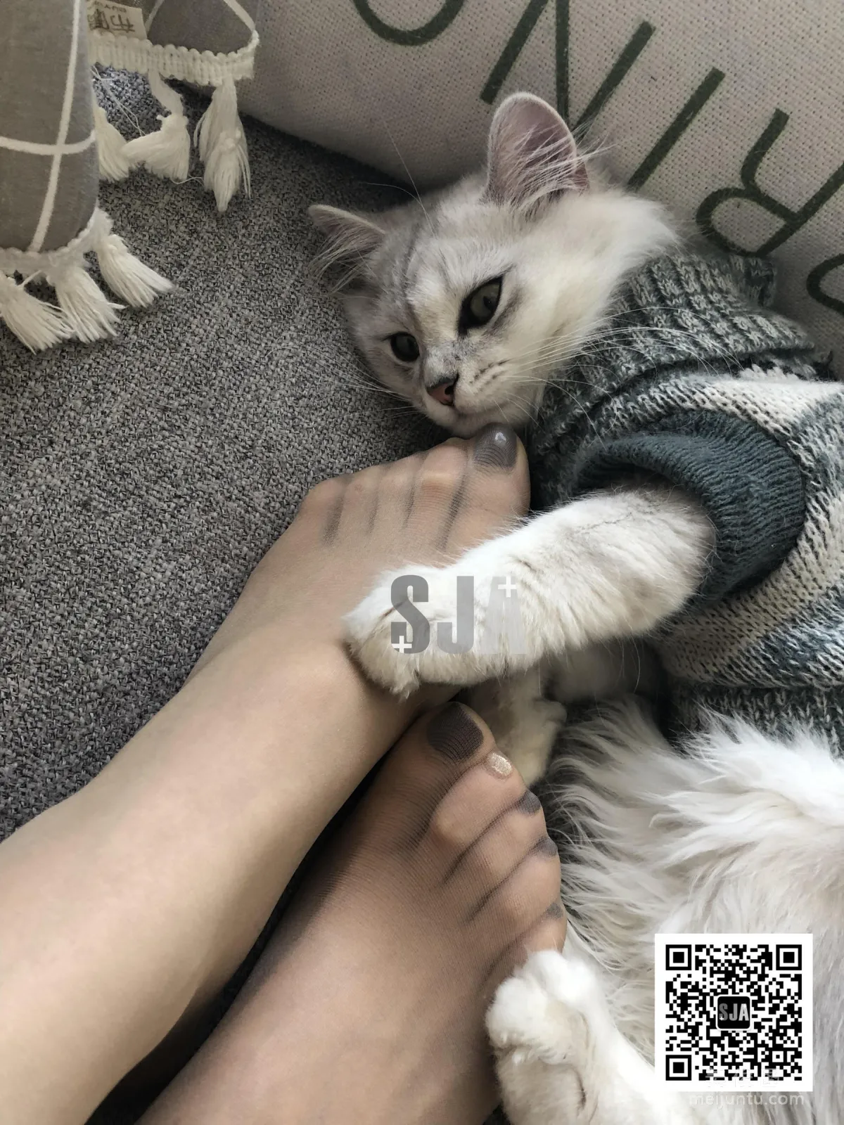 [SJA] Vol.013 Jia Ye, Bestie Perspective, Meow, Photo Set photo 14
