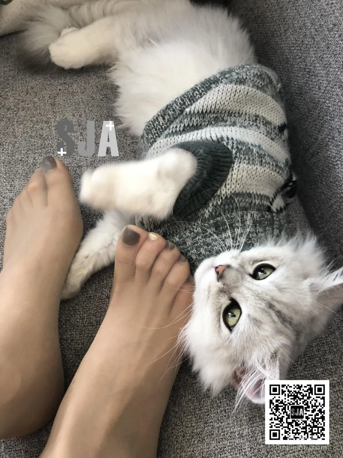 [SJA] Vol.013 Jia Ye, Bestie Perspective, Meow, Photo Set photo 2