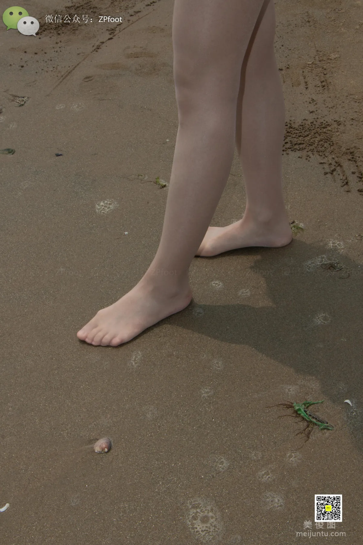 LSS No. 008 photo 51