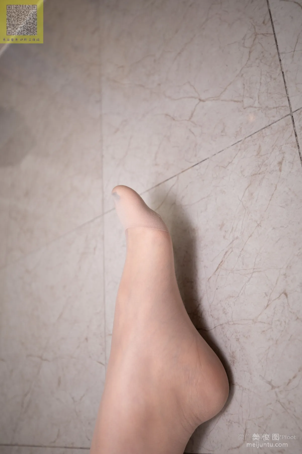 Le Le: LSS No. 101 photo 44