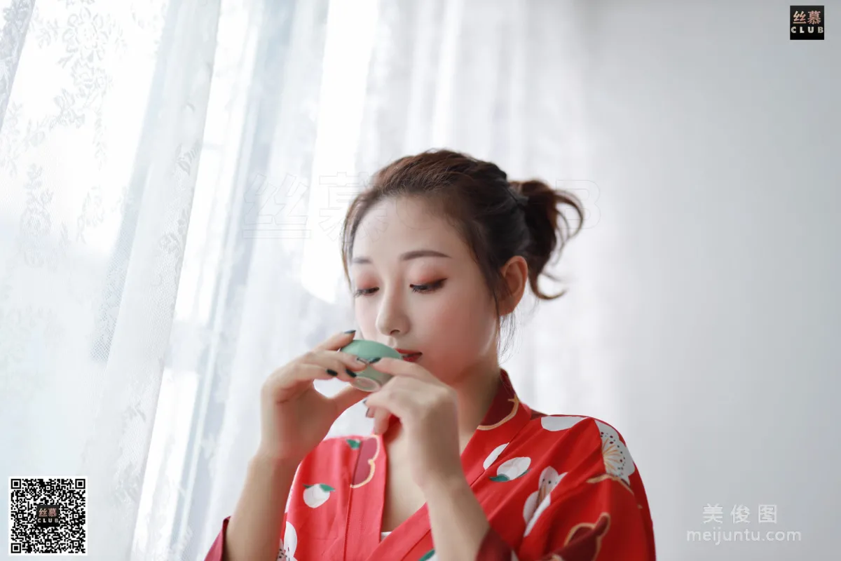An Jila: SiMu SM094 photo 66