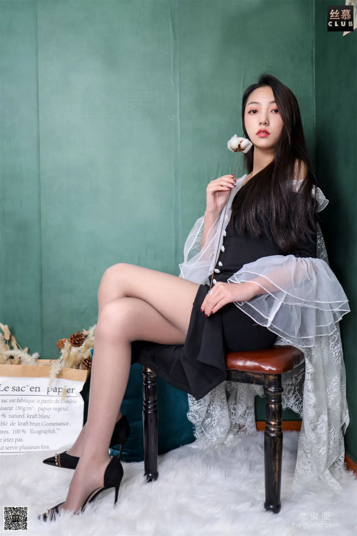 Shi Qing: SiMu SM175 photo 2
