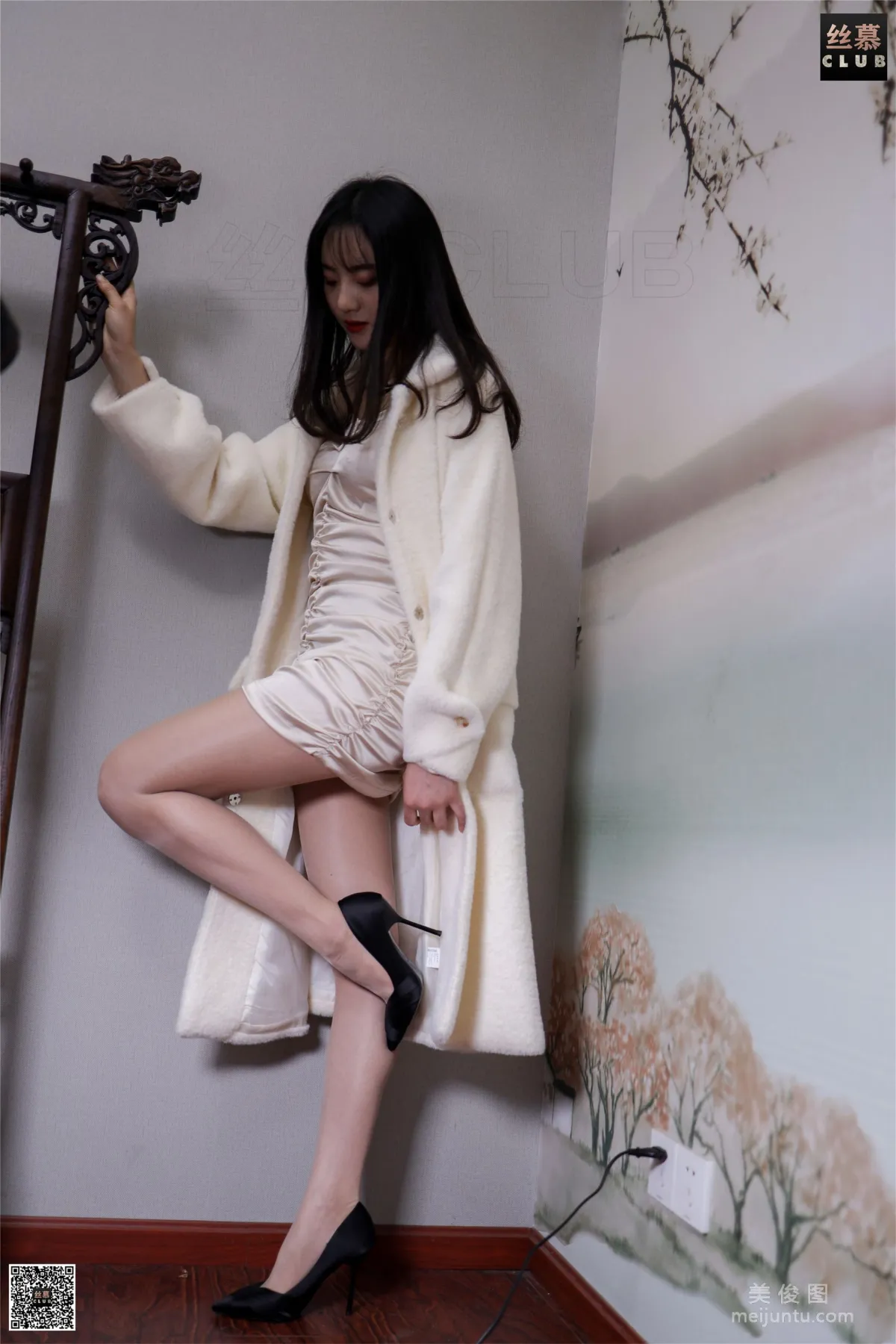 Jia Jia: SiMu SM176 photo 47