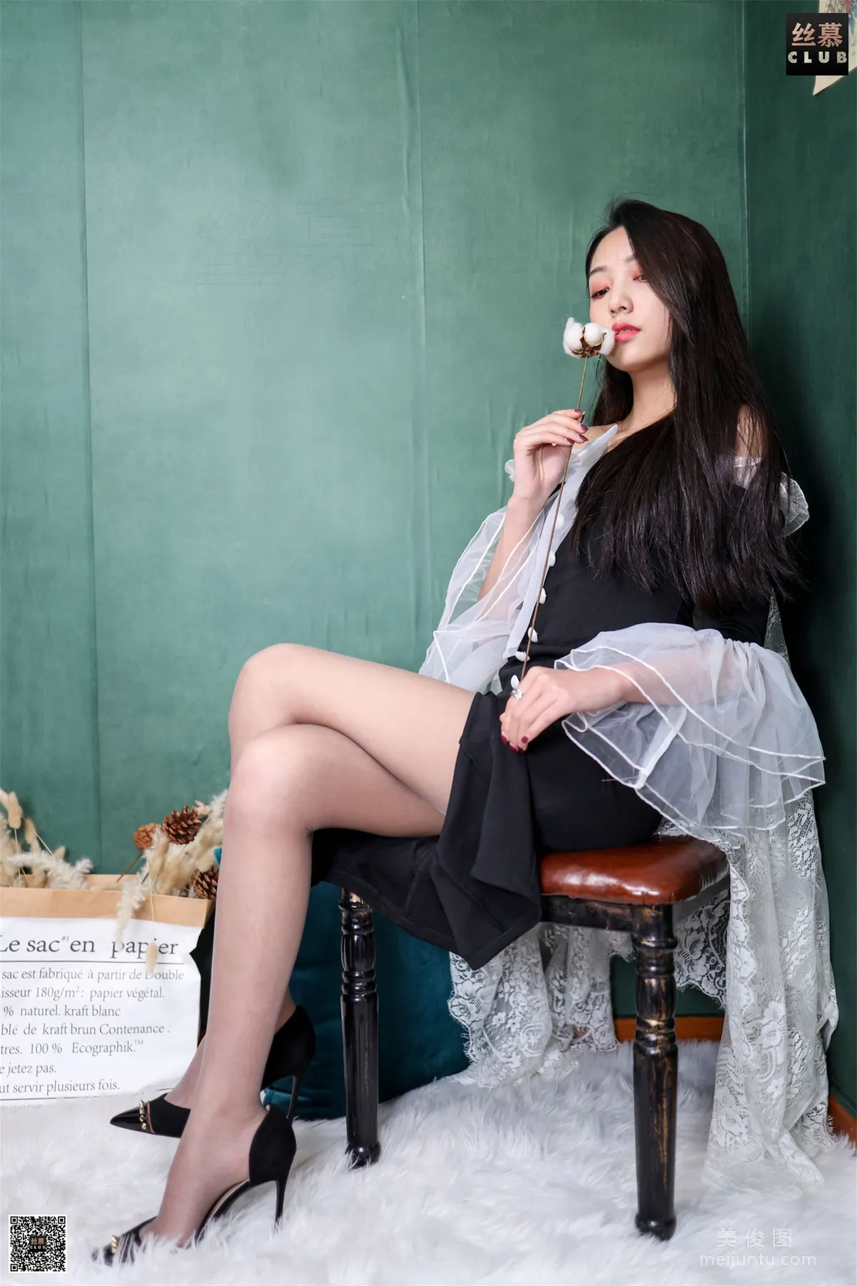 Shi Qing: SiMu SM175 photo 3