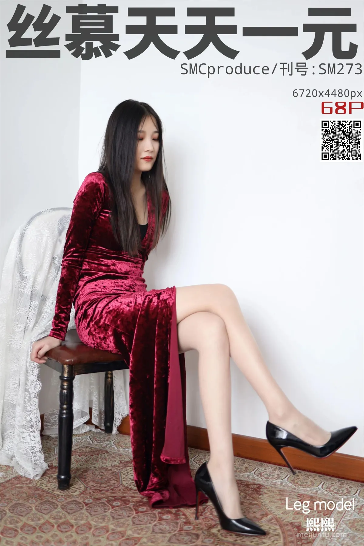 Xi Xi: SiMu SM273 photo 1