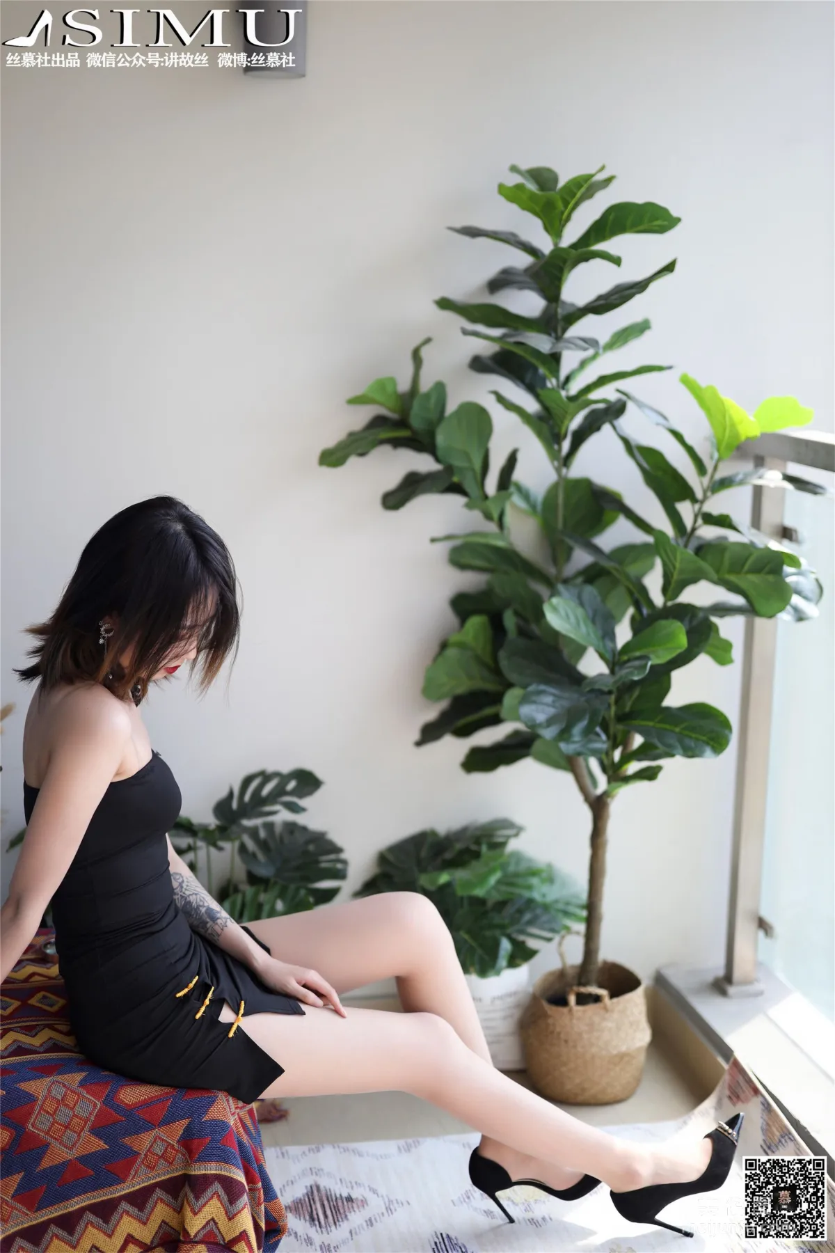Xin Mo: SiMu SM253 photo 2