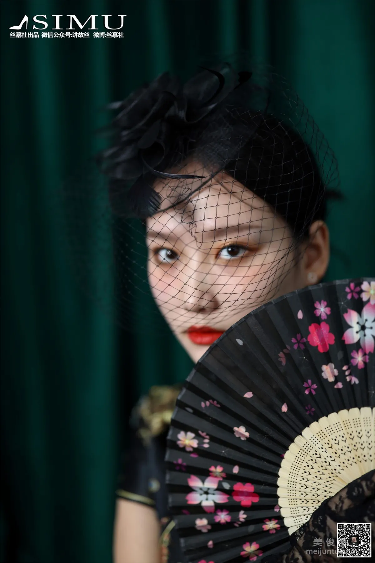 Xin Mo: SiMu SM222 photo 57