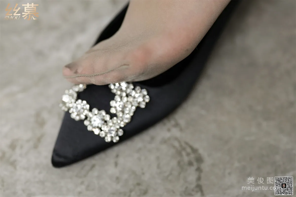 Wen Xin: SiMu SM328 photo 40