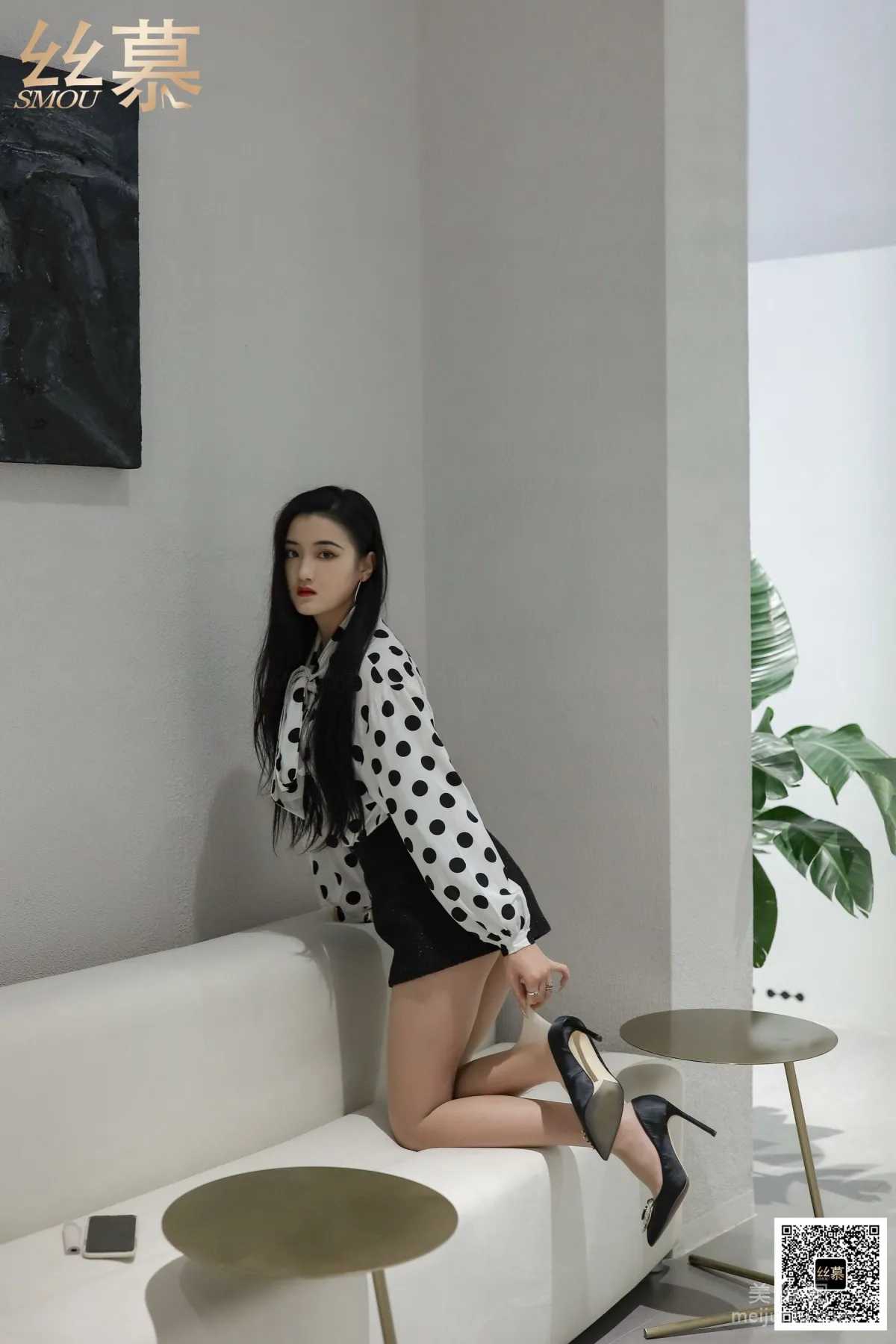 Fei Fei: SiMu SM366 photo 8
