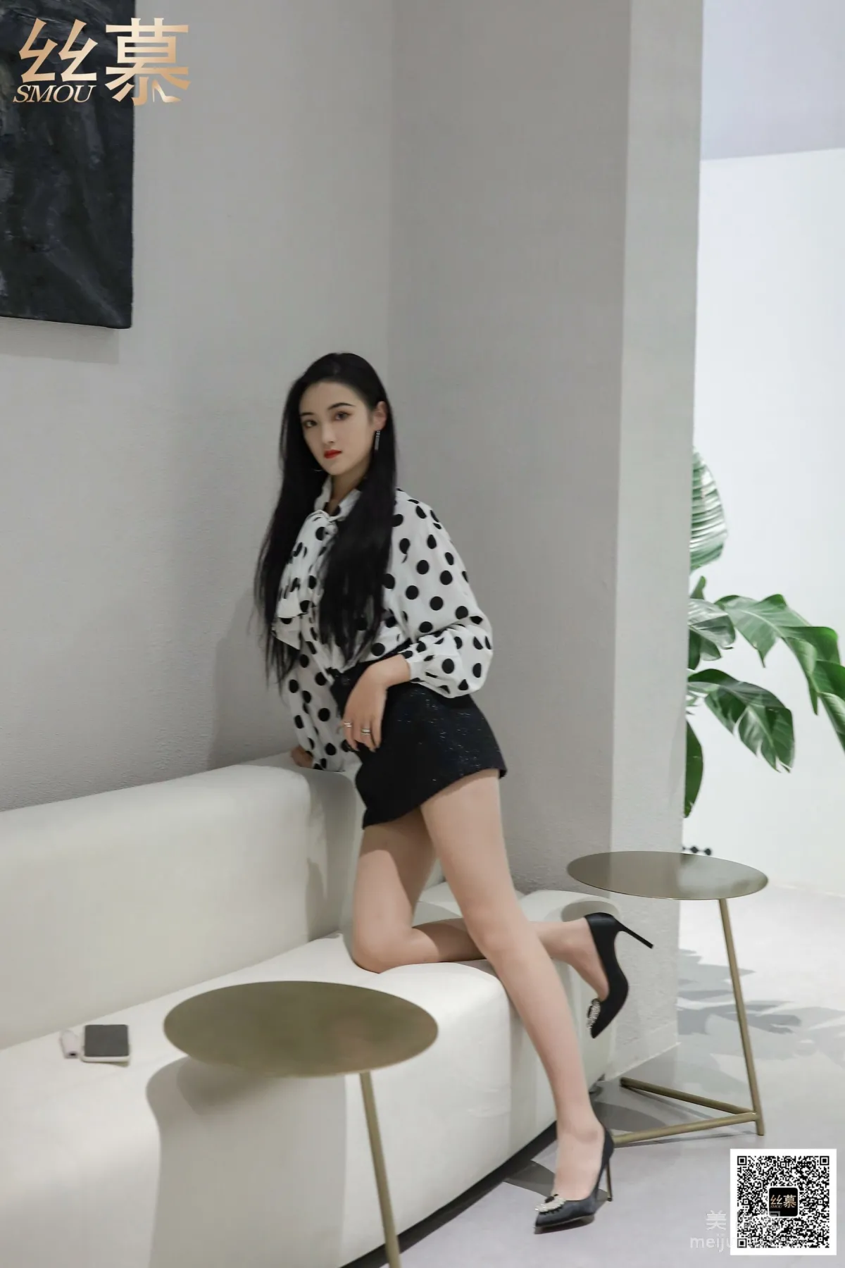 Fei Fei: SiMu SM366 photo 6