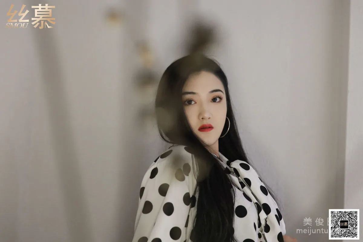 Fei Fei: SiMu SM366 photo 33