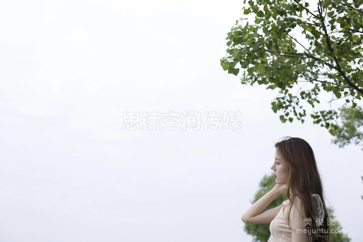 CoCo: SiHua SH117 photo 27