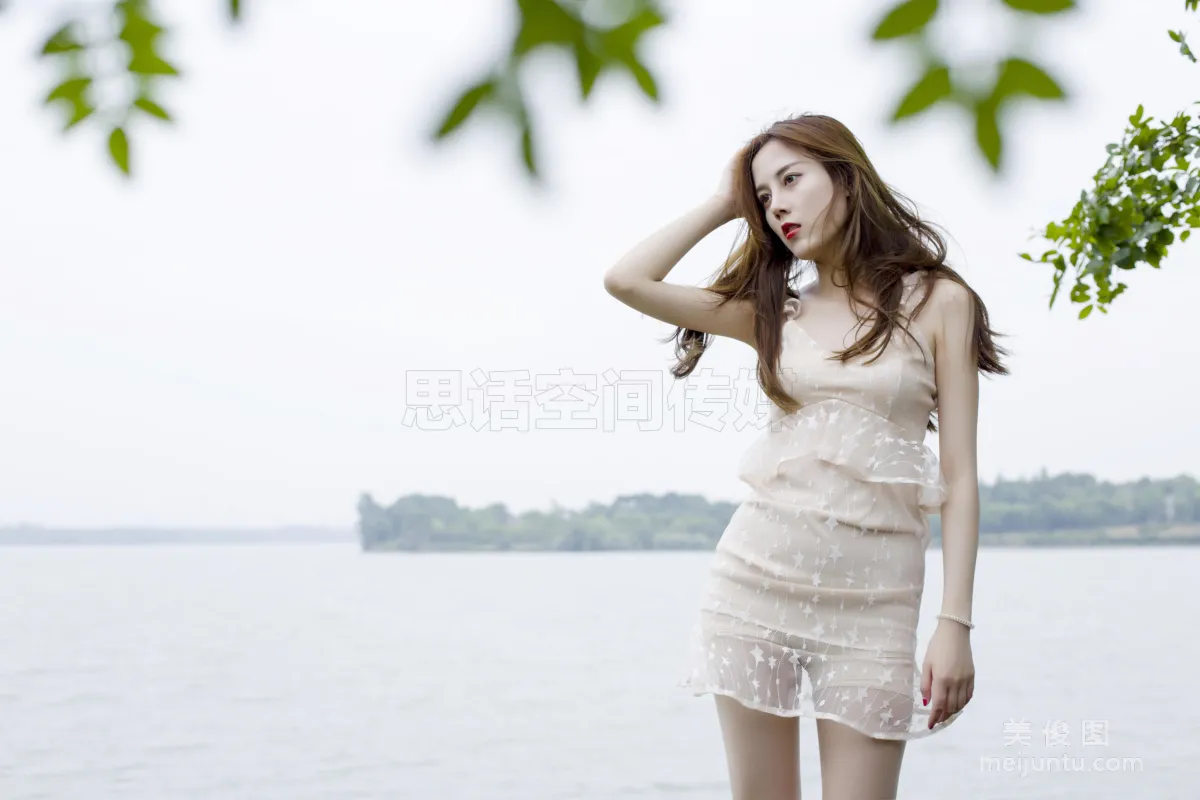 CoCo: SiHua SH117 photo 26
