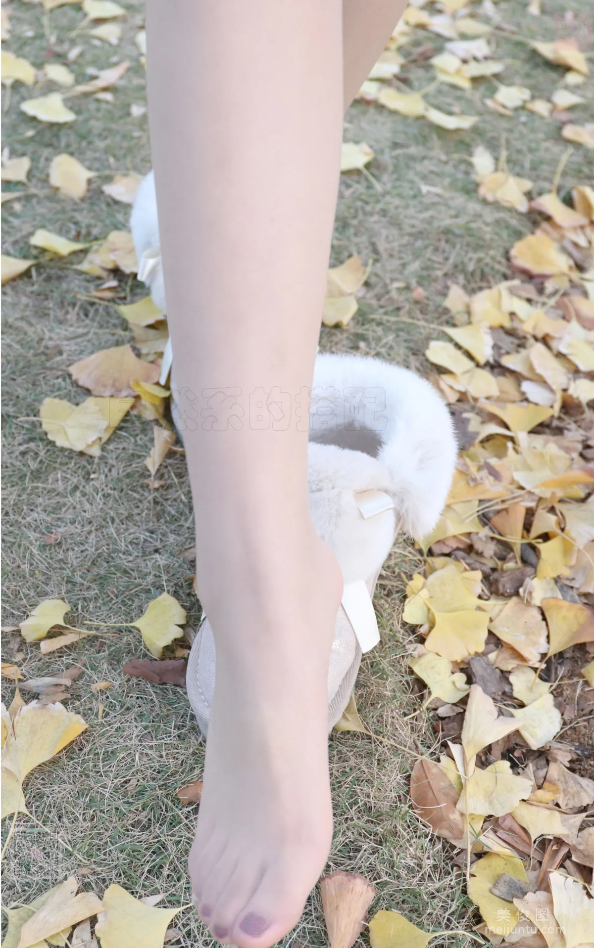 [SiHua] SH068 Biao Mei, Winter Always Has Such Quiet Moments photo 2