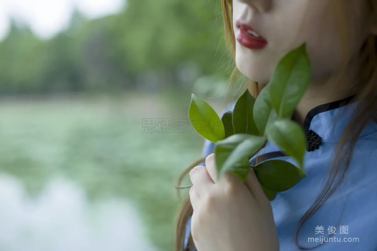 CoCo: SiHua SH120 photo 7