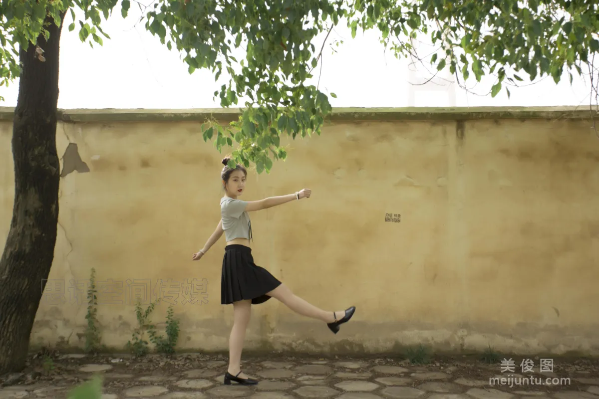 Lu Lu: SiHua SH126 photo 13