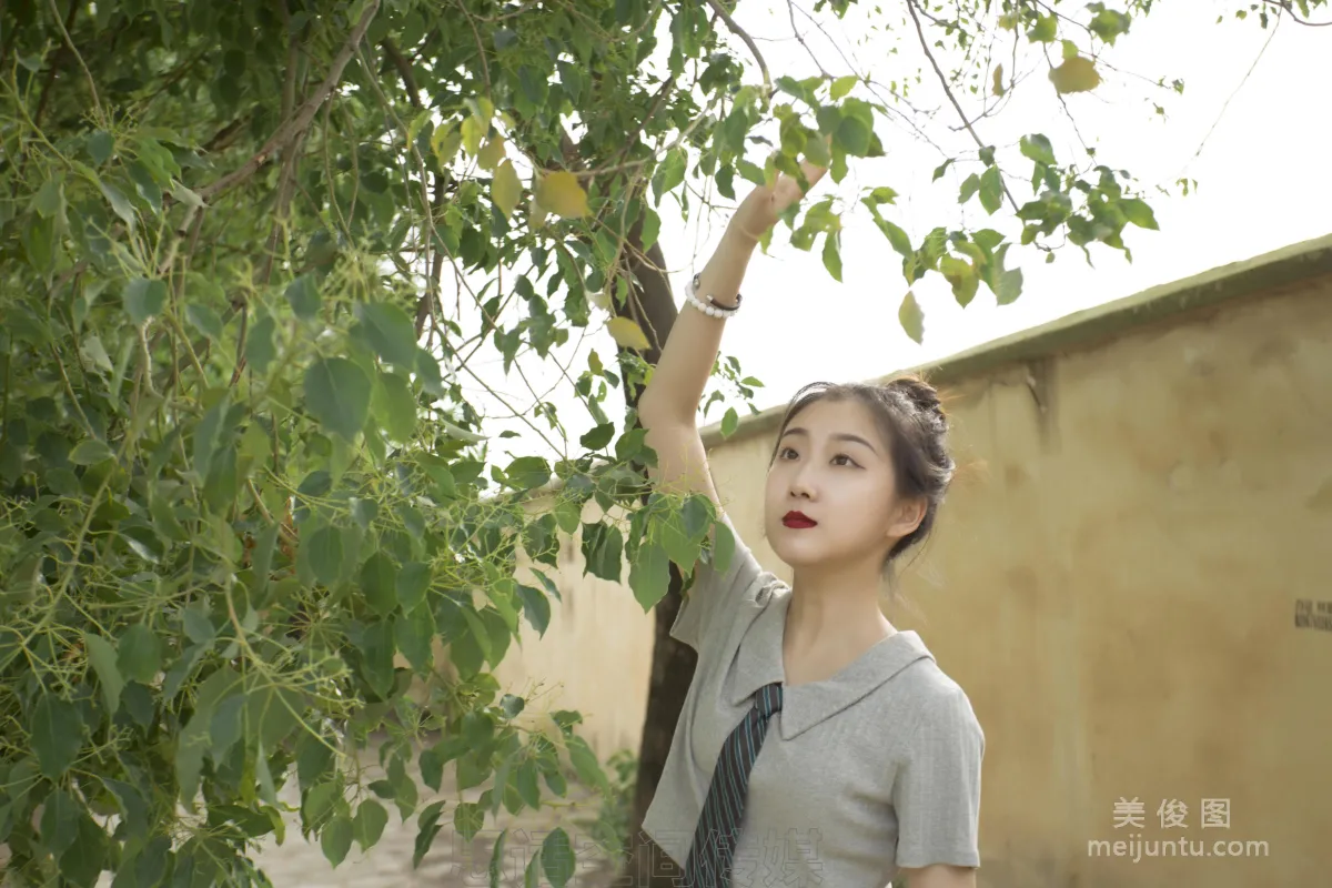 Lu Lu: SiHua SH126 photo 5