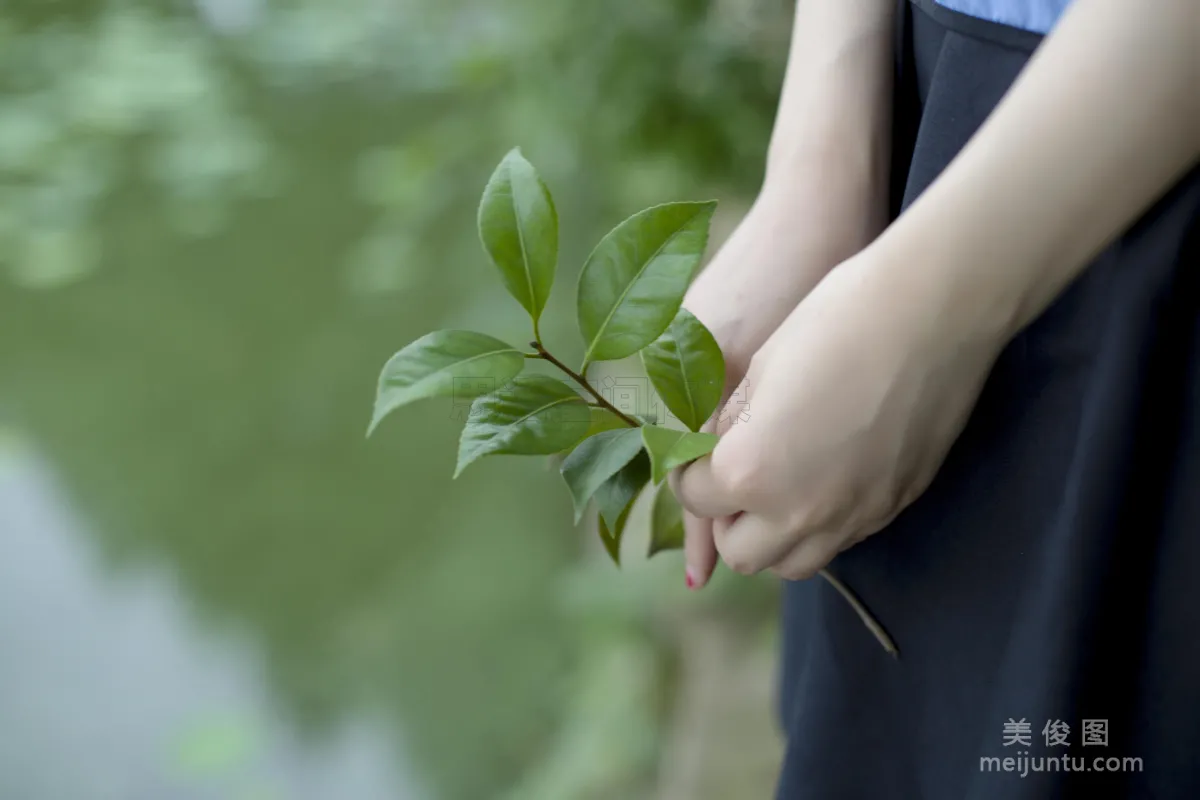 CoCo: SiHua SH120 photo 8