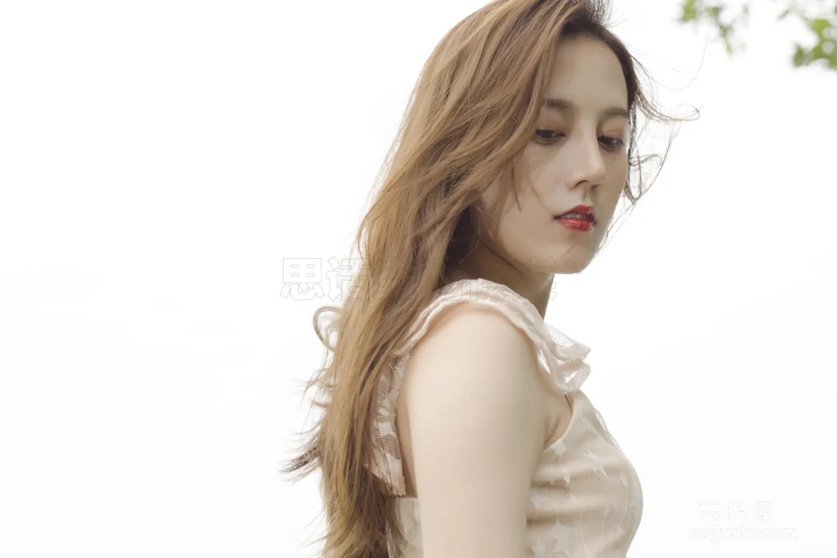 CoCo: SiHua SH117 photo 22