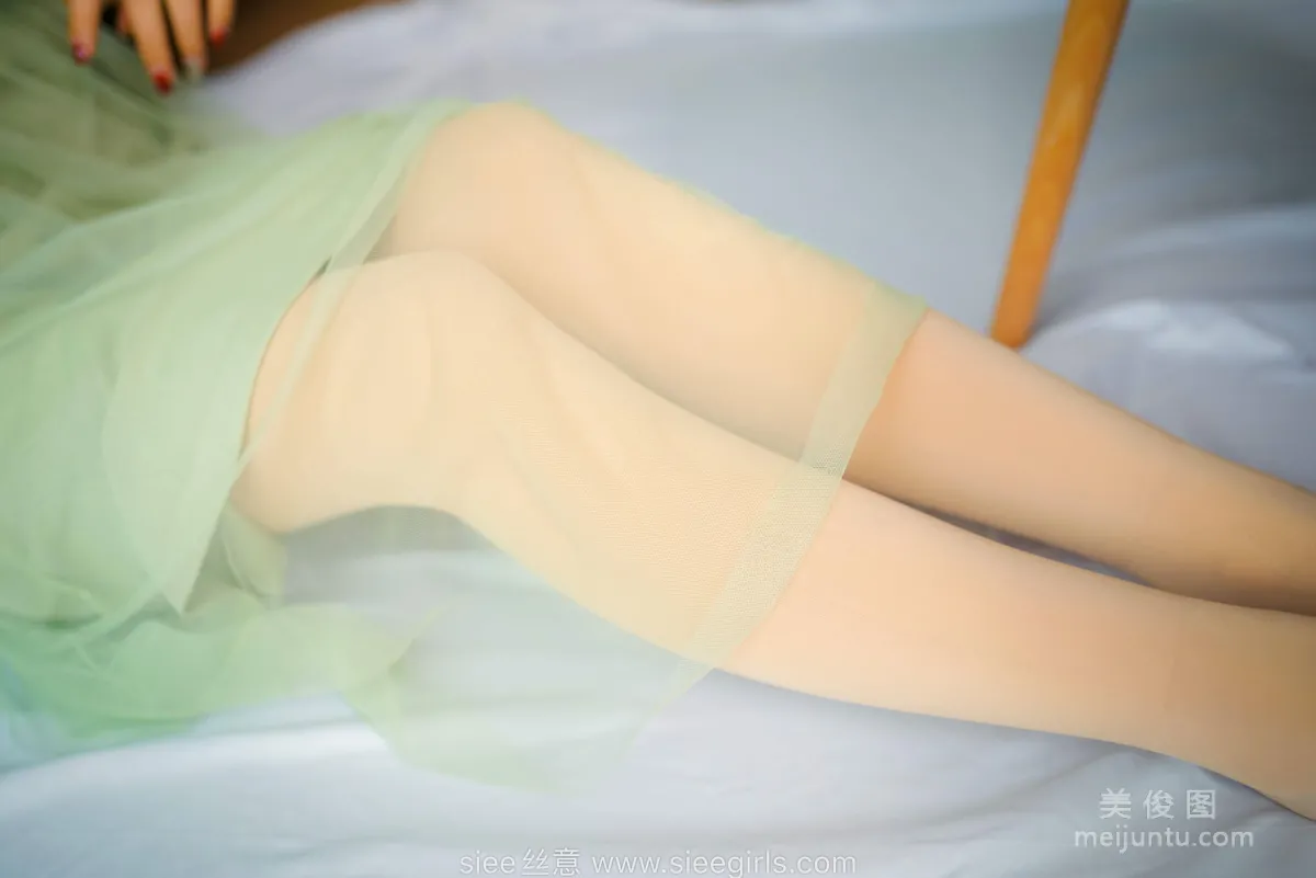 SIEE No. 473 photo 46