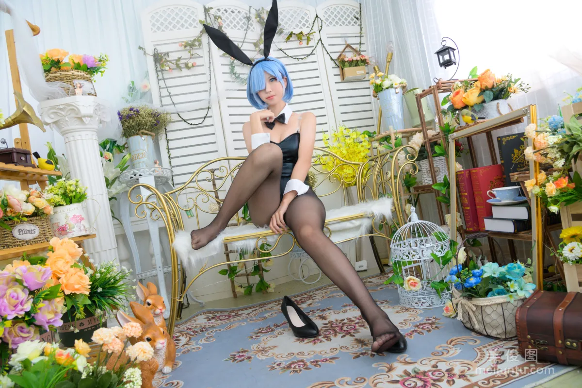 Dami Miqiu: Web Idols photo 2