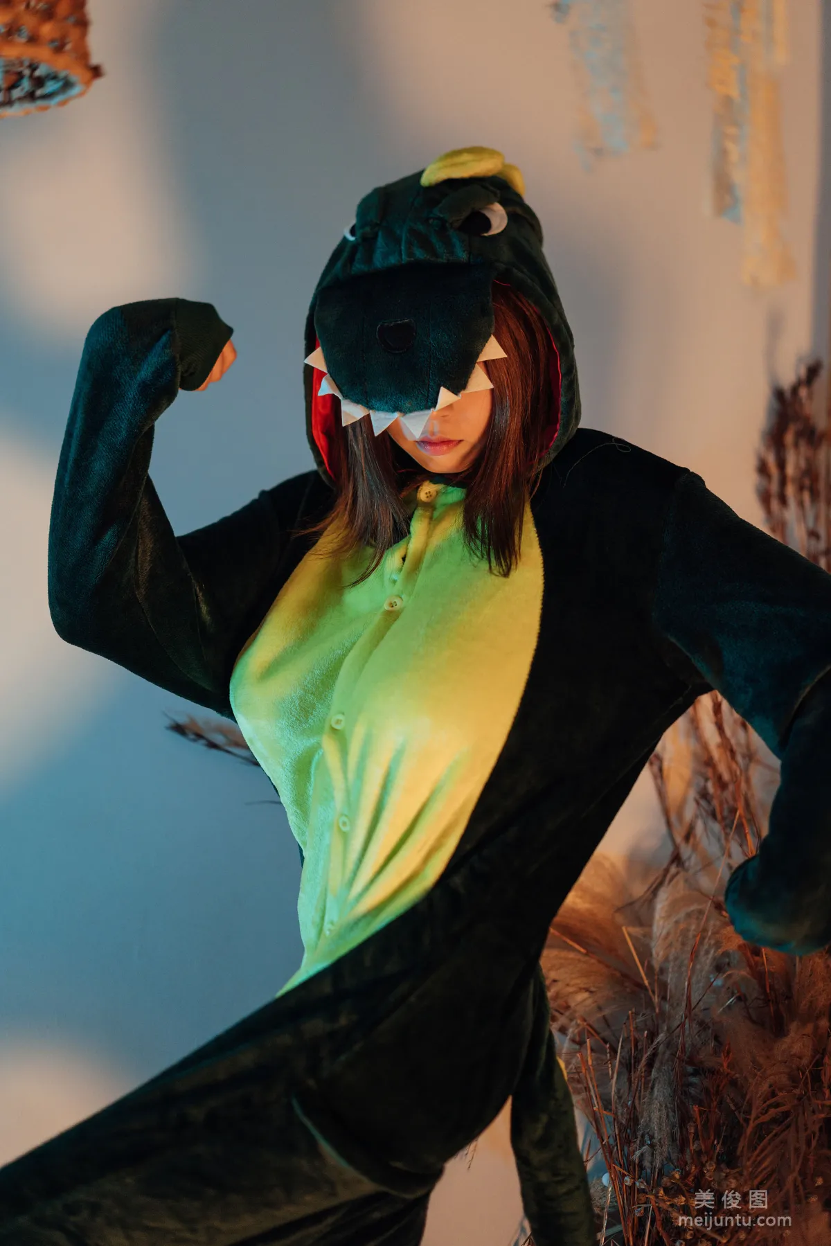 Nai Xijiang: Web Idols photo 2