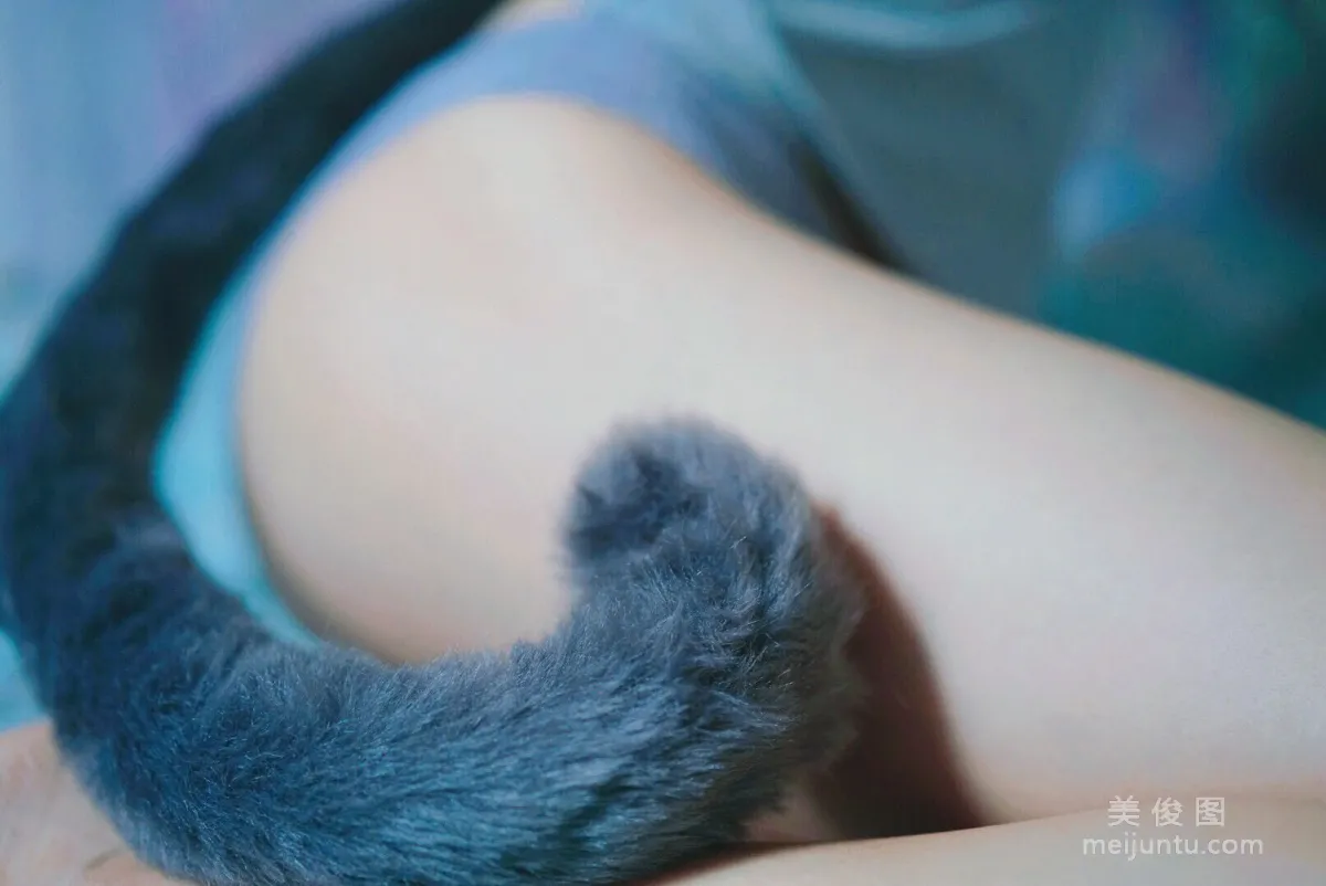 [Web Idol Coser Photo] Cute Girl Yanjiang Damo Wang w - Gray-Tailed Cat Style photo 10